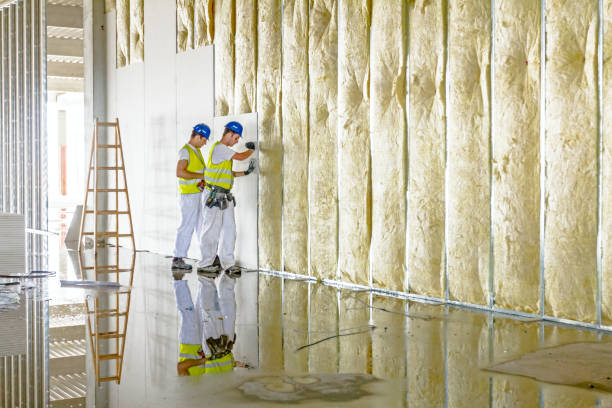 Best Fiberglass Insulation  in Martinsville, VA